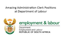 Amazing Administration Clerk Positions at Department of Labour