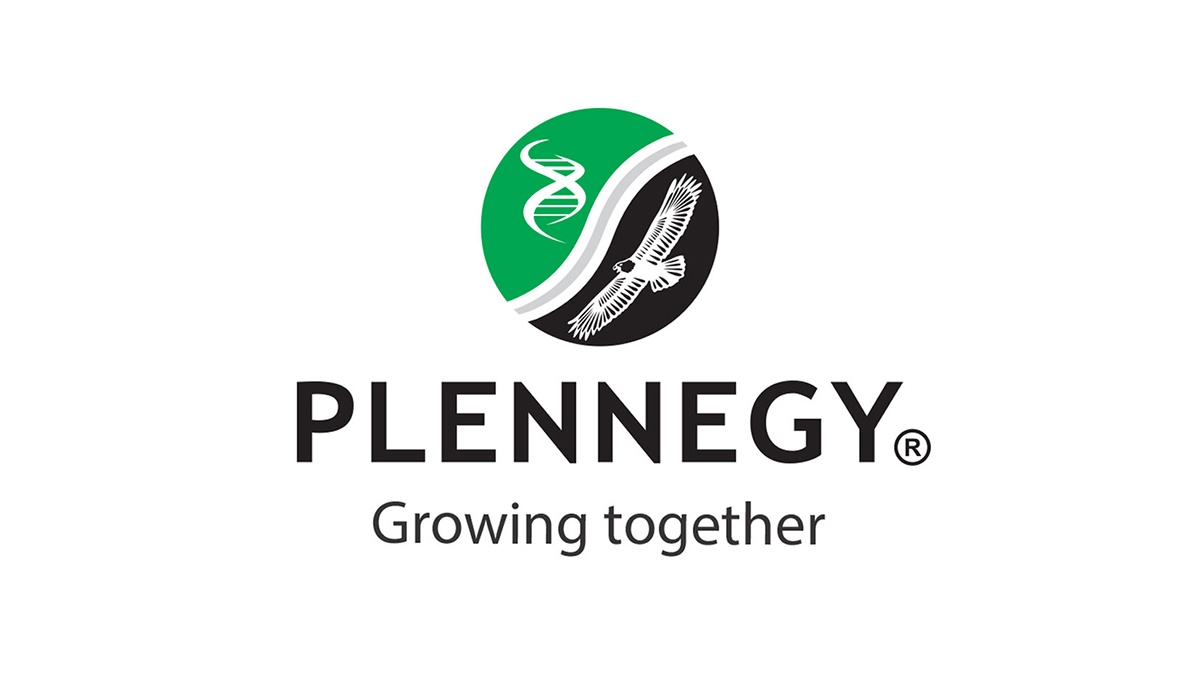 Plennegy: Graduate Internships 2024 / 2025